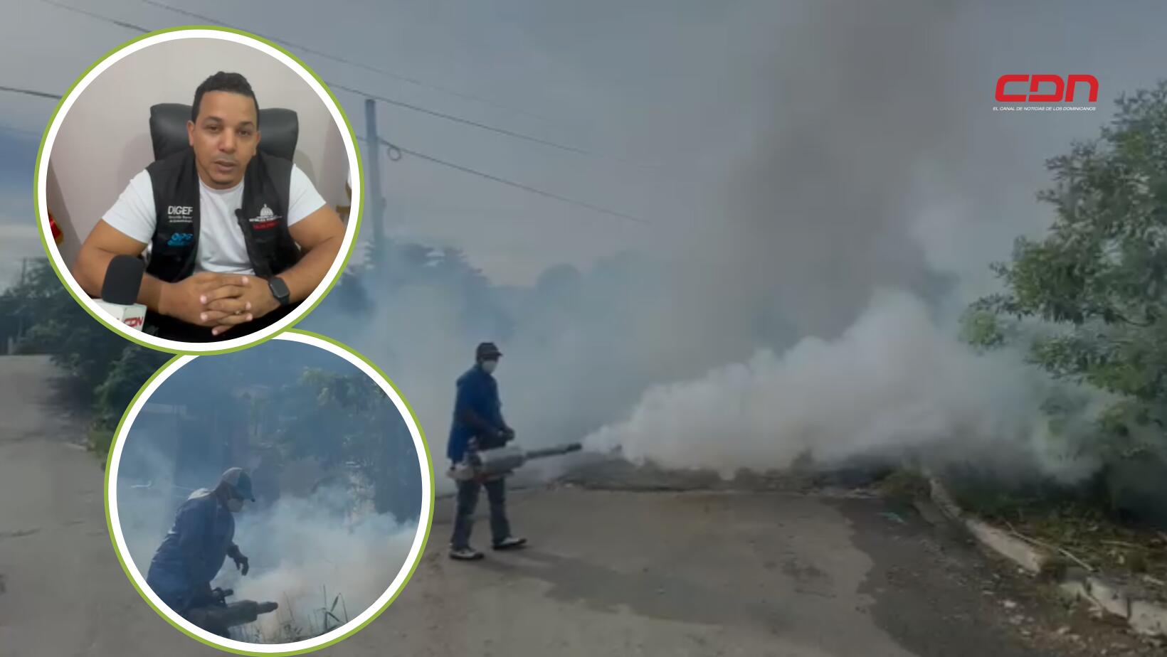 Dengue