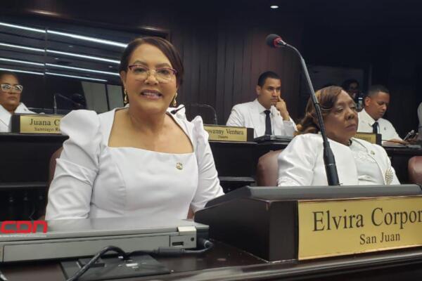 La diputada por el PRM, Elvira Corporán de los Santos anunció una serie de actividades. Foto: Fuente externa 