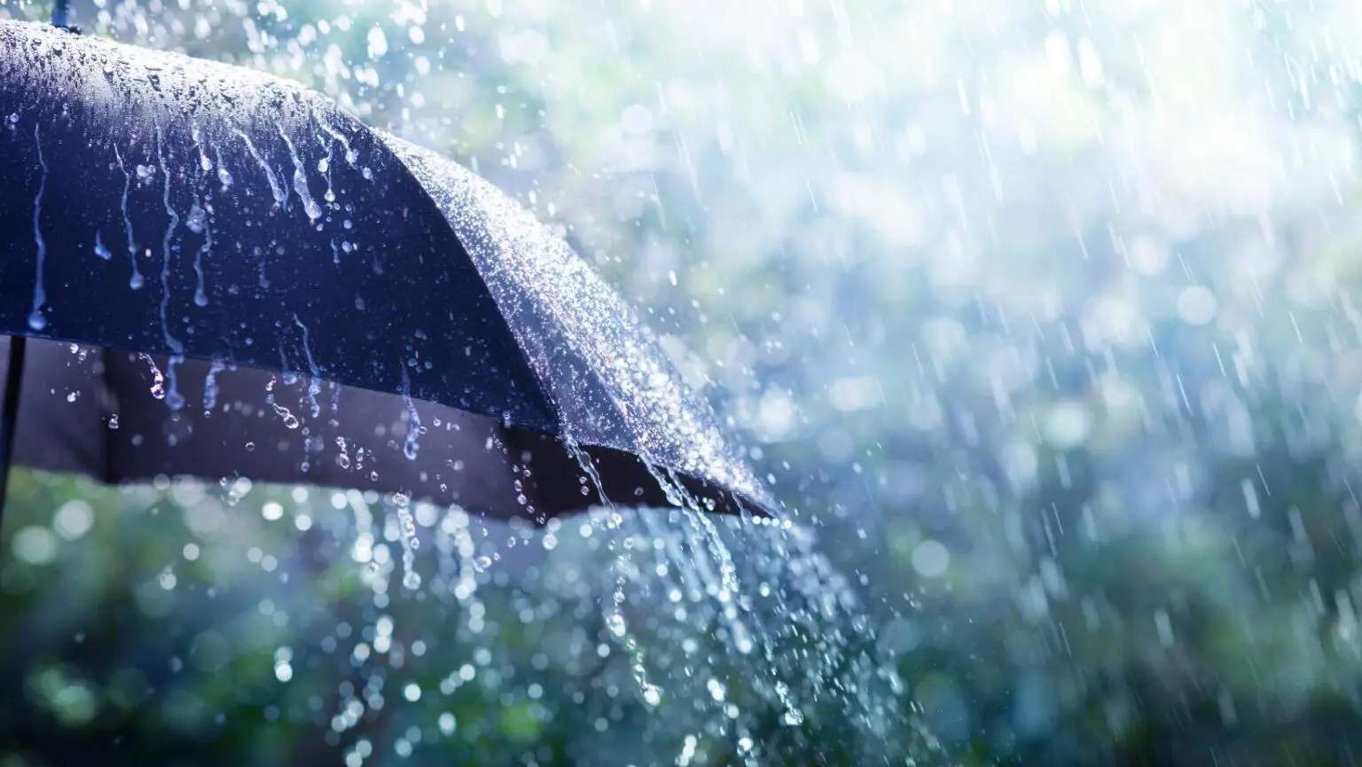 lluvias