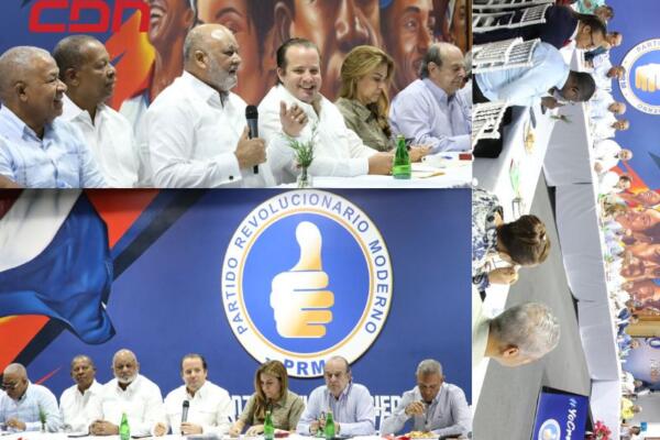 Comisión de Estrategia del PRM. CDN Digital 