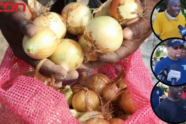 Asociación de Productores de Cebollas del municipio de Nizao.
