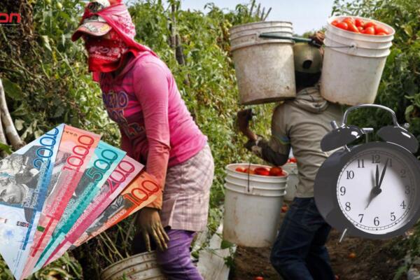 Recientes casos de abuso laboral o trabajo forzoso, ponen en tela de juicio el buen clima laboral. Foto: Fuente externa