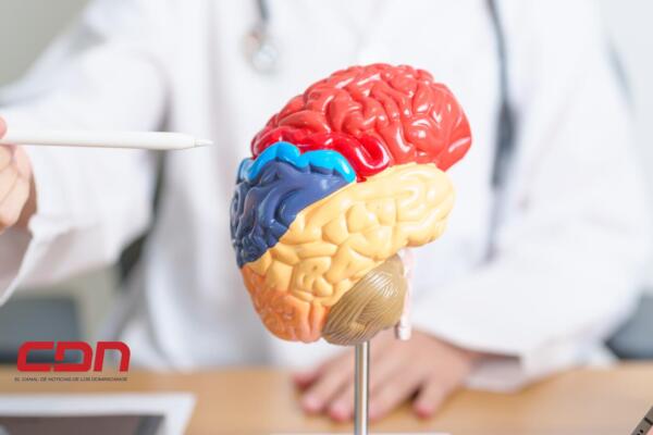 Tratamiento quirúrgico promete cambiar la vida de los pacientes con Alzheimer