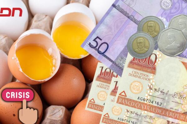 Ucenor instó a las autoridades competentes a actuar de manera urgente y coordinada para garantizar la estabilidad del mercado local de huevos.