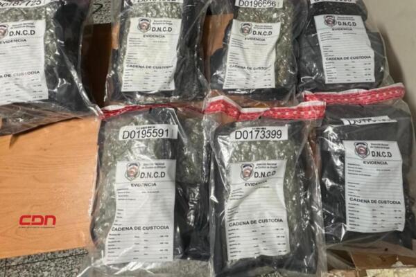 Incautan 15 paquetes de marihuana en aeropuerto de las Américas. (foto, fuente externa)
