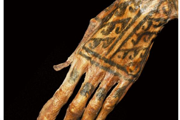Mano momificada de 1.200 años de antigüedad con tatuajes. Crédito: Michael Pittman y Thomas G Kaye.