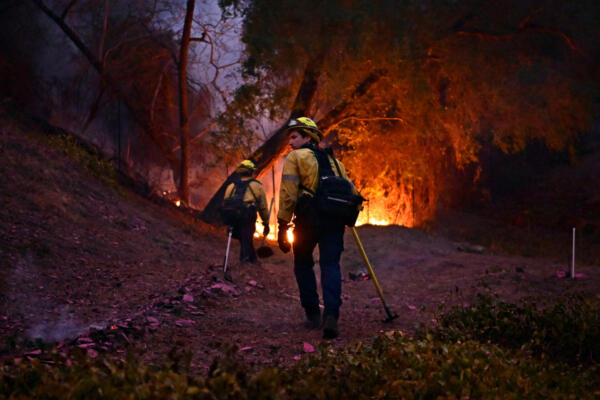 Frenética lucha de bomberos contra incendios en Los Ángeles que ya dejan 16 muertos