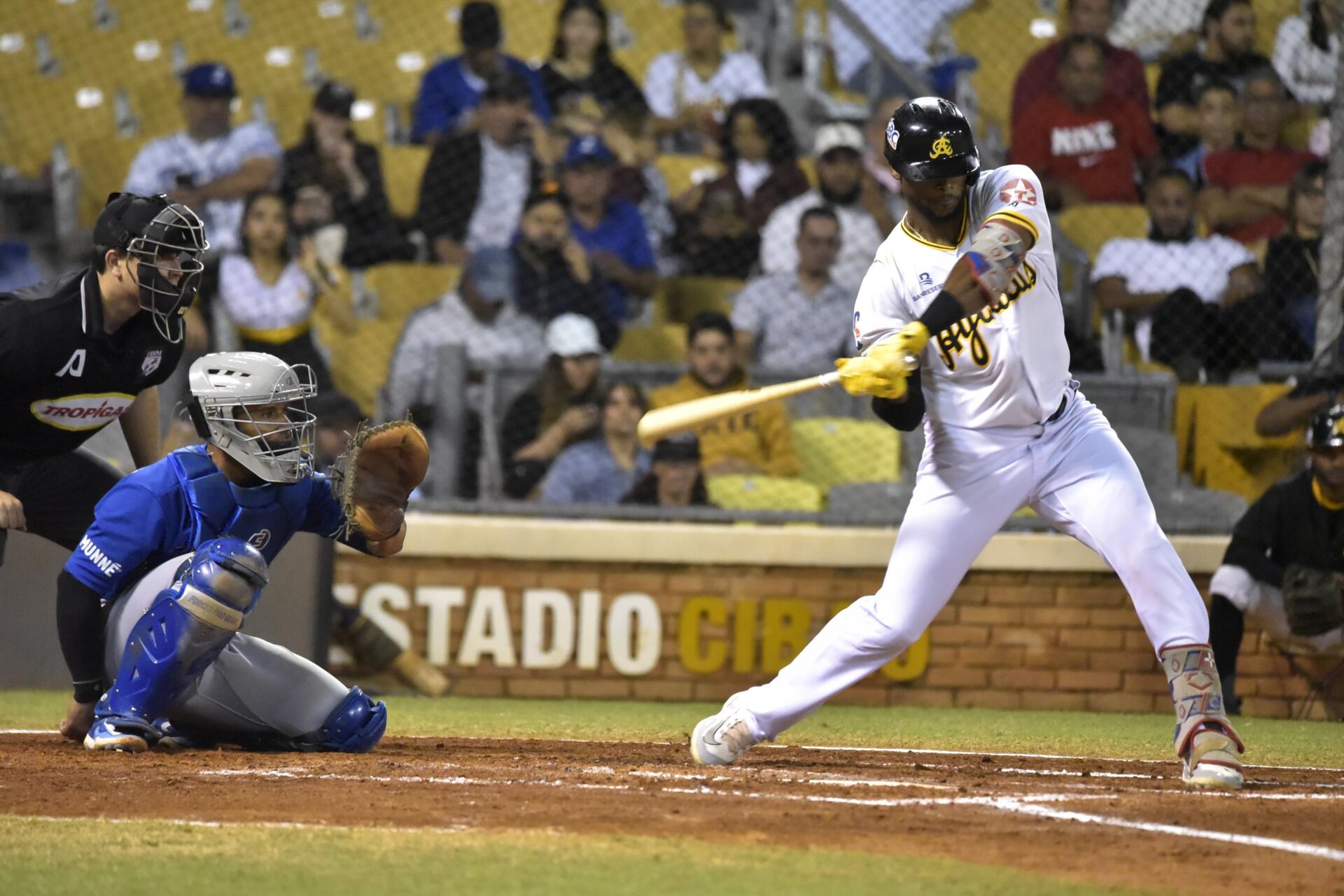 Pelota Invernal: juegos HOY 15 de enero en LIDOM