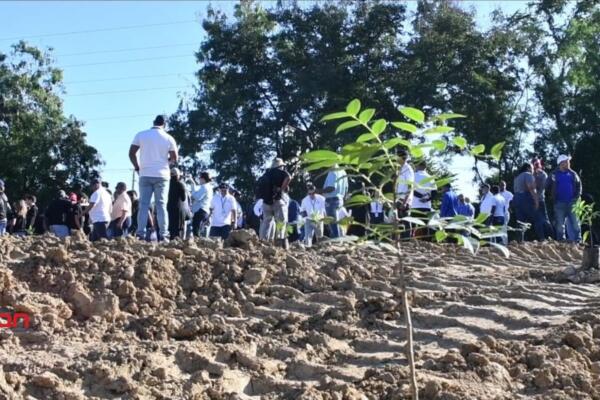 Medio Ambiente y otras instituciones realizan jornada de reforestación en zona sur de Santiago. (foto, fuente externa)