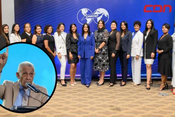 Asociación Nacional de Mujeres Empresarias, Ejecutivas y Profesionales (Anmepro)