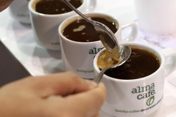 Las personas que beben café por la mañana tienen un menor riesgo de morir por una enfermedad cardiovascular, según un estudio.