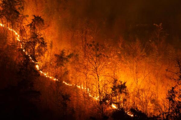 Los incendios en California vistos desde el espacio