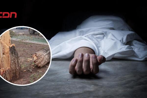 Martín Rosario, hombre que murió aplastado por un árbol. 