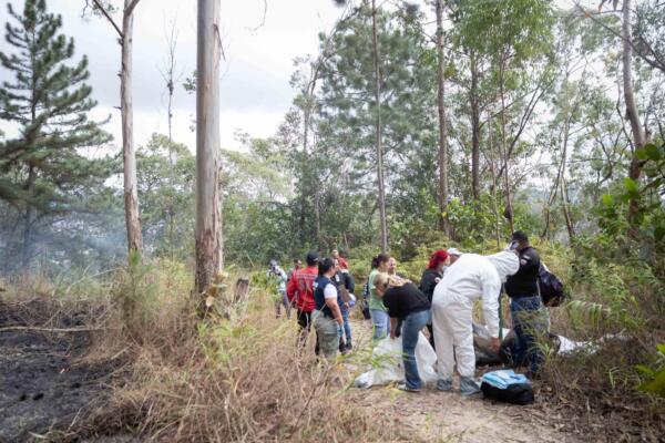 Mueren tres funcionarios de Venezuela en un accidente aéreo