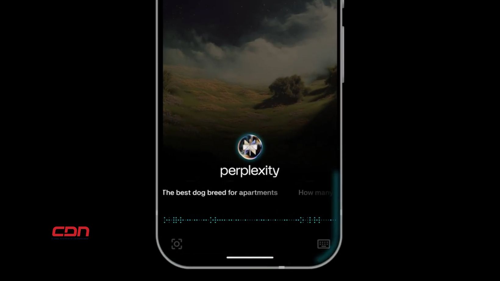 Perplexity Assistant