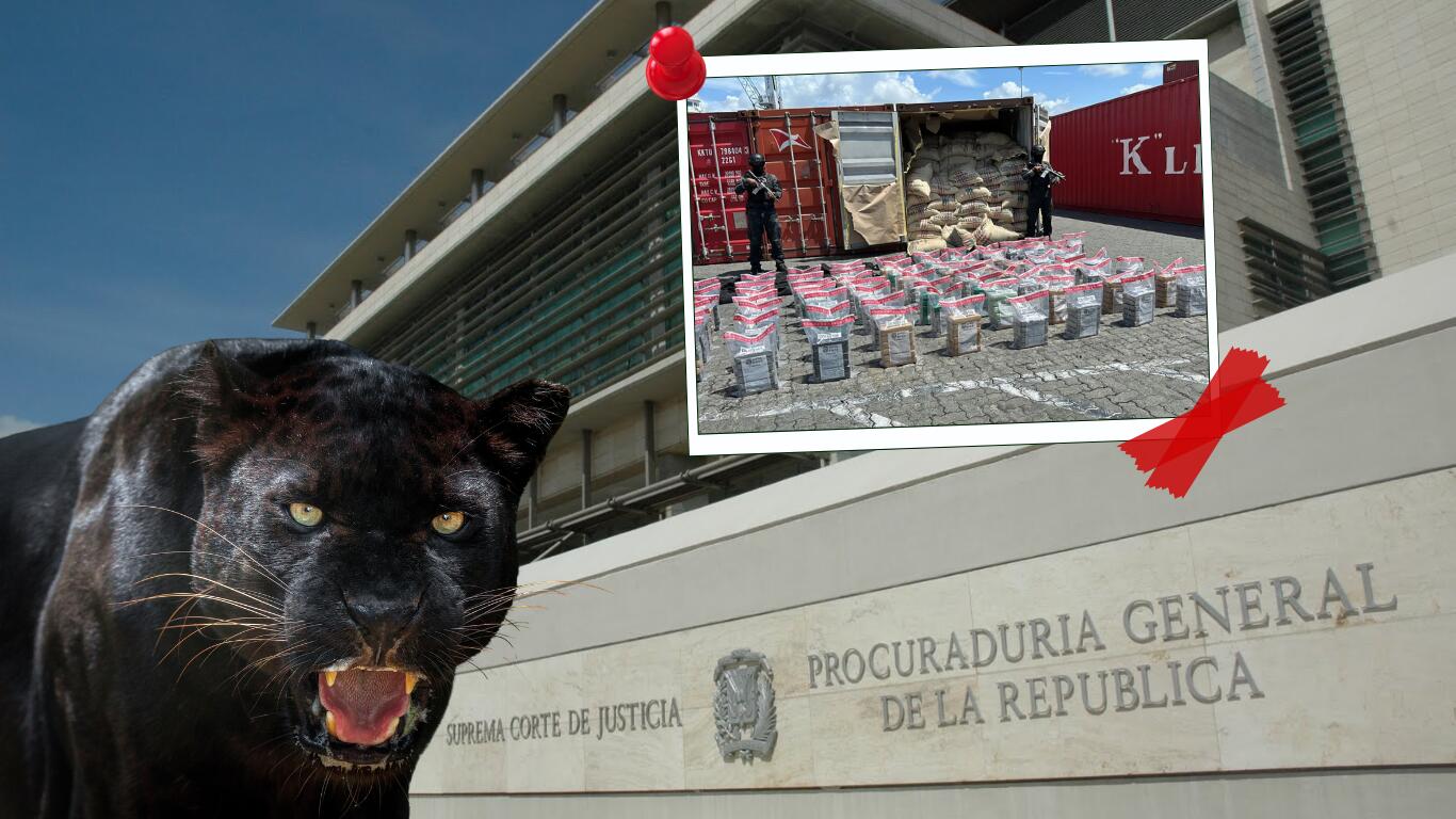 Operación Panthera 7 es la última operación que realizó el Ministerio Público contra el narcotráfico en la República Dominicana.