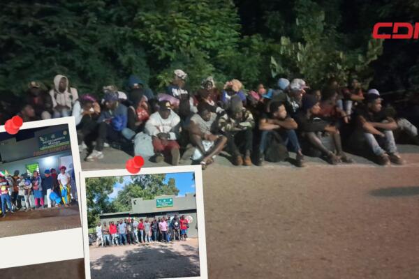 378 inmigrantes haitianos en operativos realizados en provincias fronterizas.