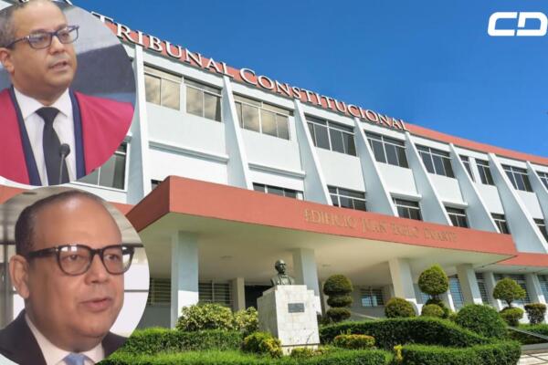 Tribunal Constitucional responde cuestionamientos sobre candidaturas independientes