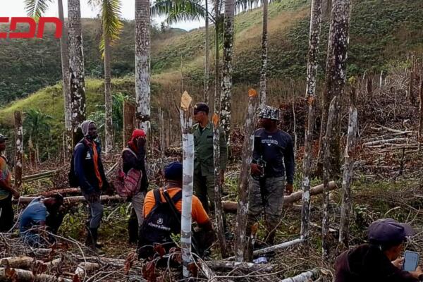 Nacionales haitianos apresados por causar daños en Parque Nacional Los Haitises.