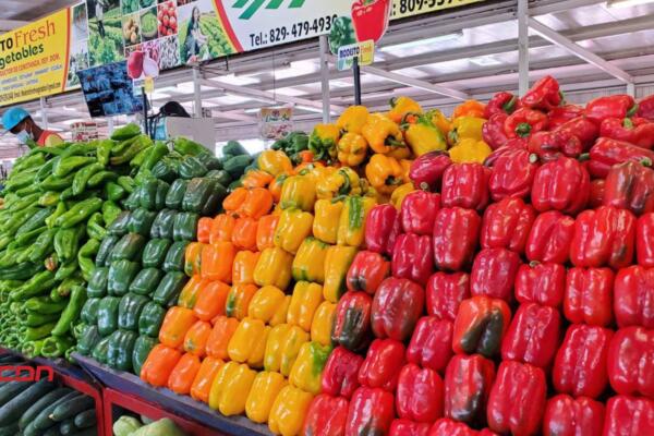 Agricultura logra récord en producción de vegetales. (Foto, fuente externa)