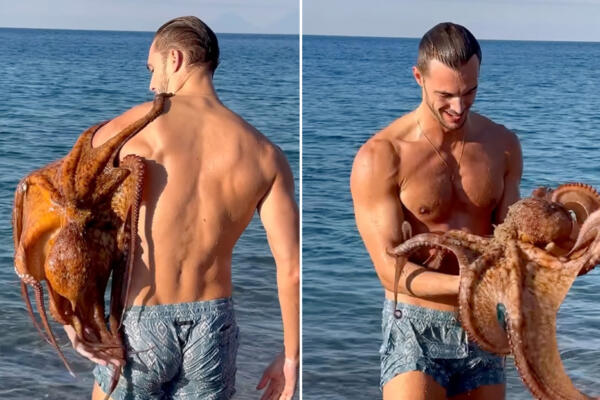 Video  Pulpo sorprende a modelo italiano con un tierno abrazo marino