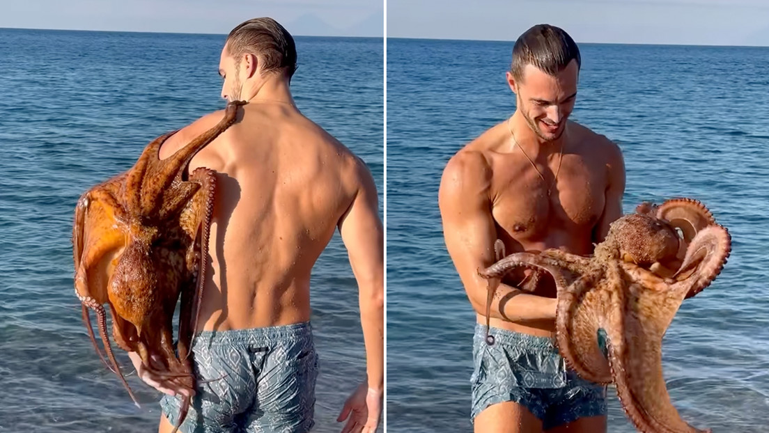 Video Pulpo sorprende a modelo italiano con un tierno abrazo marino