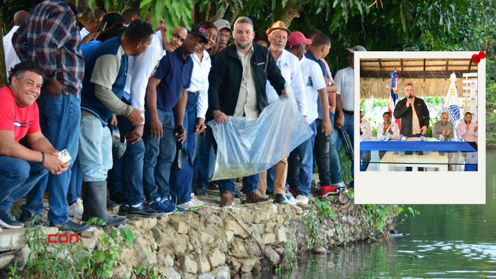 donación