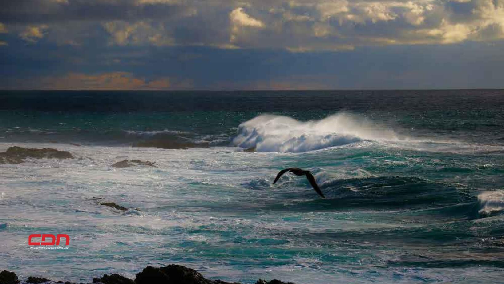 olas