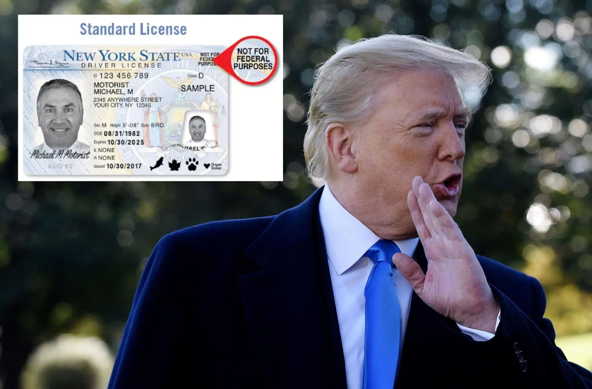 ¿Inmigrantes ya no tendrán licencia de conducir en Nueva York?