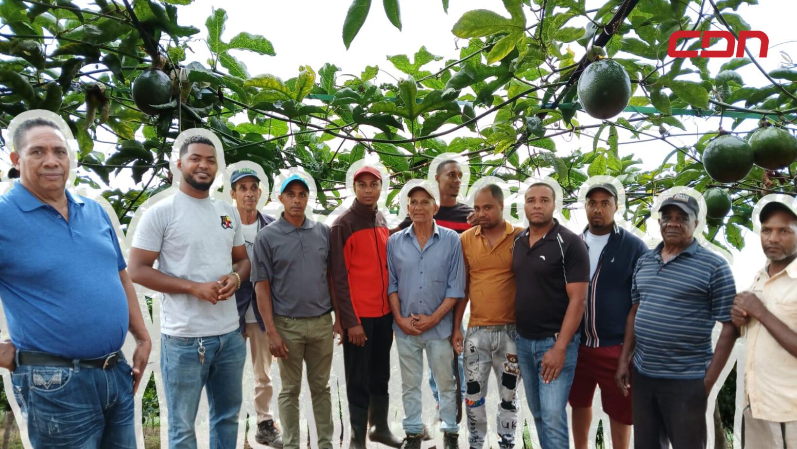 Agricultores de La Guazara denuncian ola de robos en sus predios en Barahona