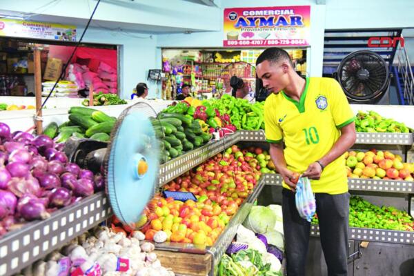 Según los comerciantes, los precios de productos como cebolla, ajo y papa han mostrado una notable reducción. (Foto, fuente externa)