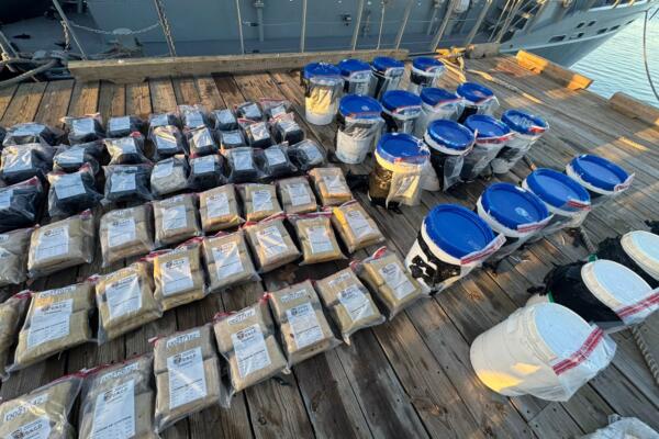 56 láminas de una sustancia que se presume es cocaína en el puerto de Caucedo, Boca Chica
