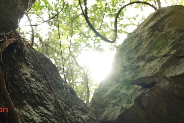 Las Cuevas del Pomier, son un tesoro arqueológico y natural de la República Dominicana. (foto: Yovanny Corporan)