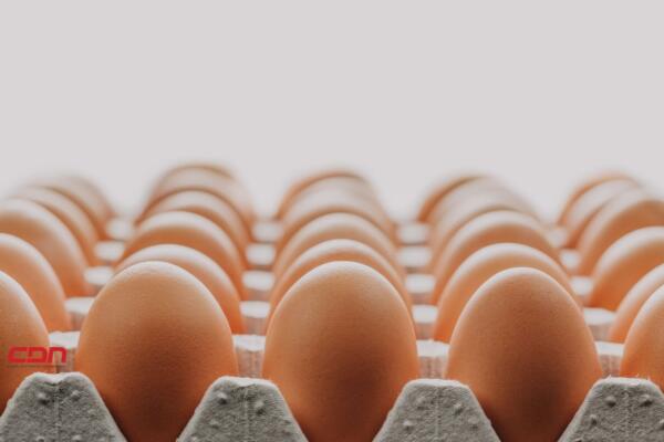 Estados Unidos enfrenta una crisis alimentaria debido a la escasez de huevos. (foto, fuente externa)