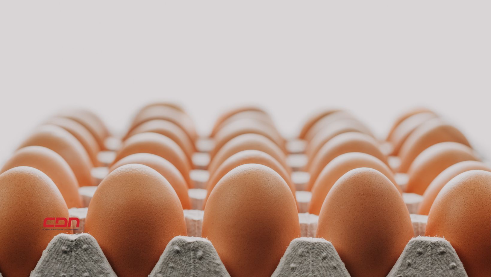 Huevos
