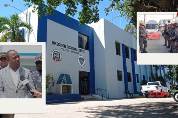 Mismas que antes estaban en manos de los delincuentes y se ocuparon en operativos preventivos. Foto: Fuente externa 