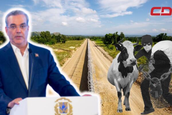 Presidente Luis Abinader habla sobre el tema de robo de ganados en Dajabón.