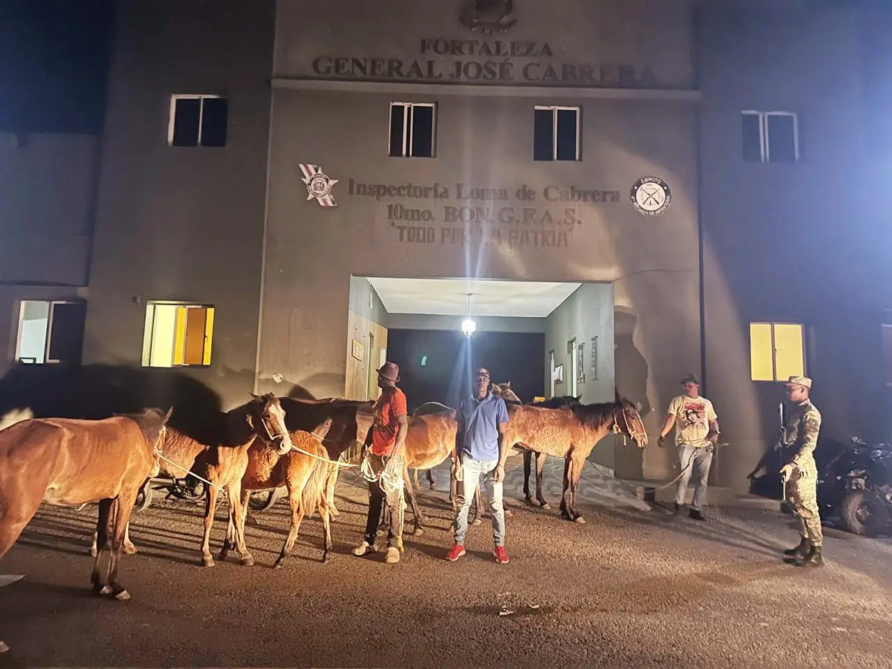 Ejército recupera ganado y decomisa cigarrillos de contrabando durante operativos