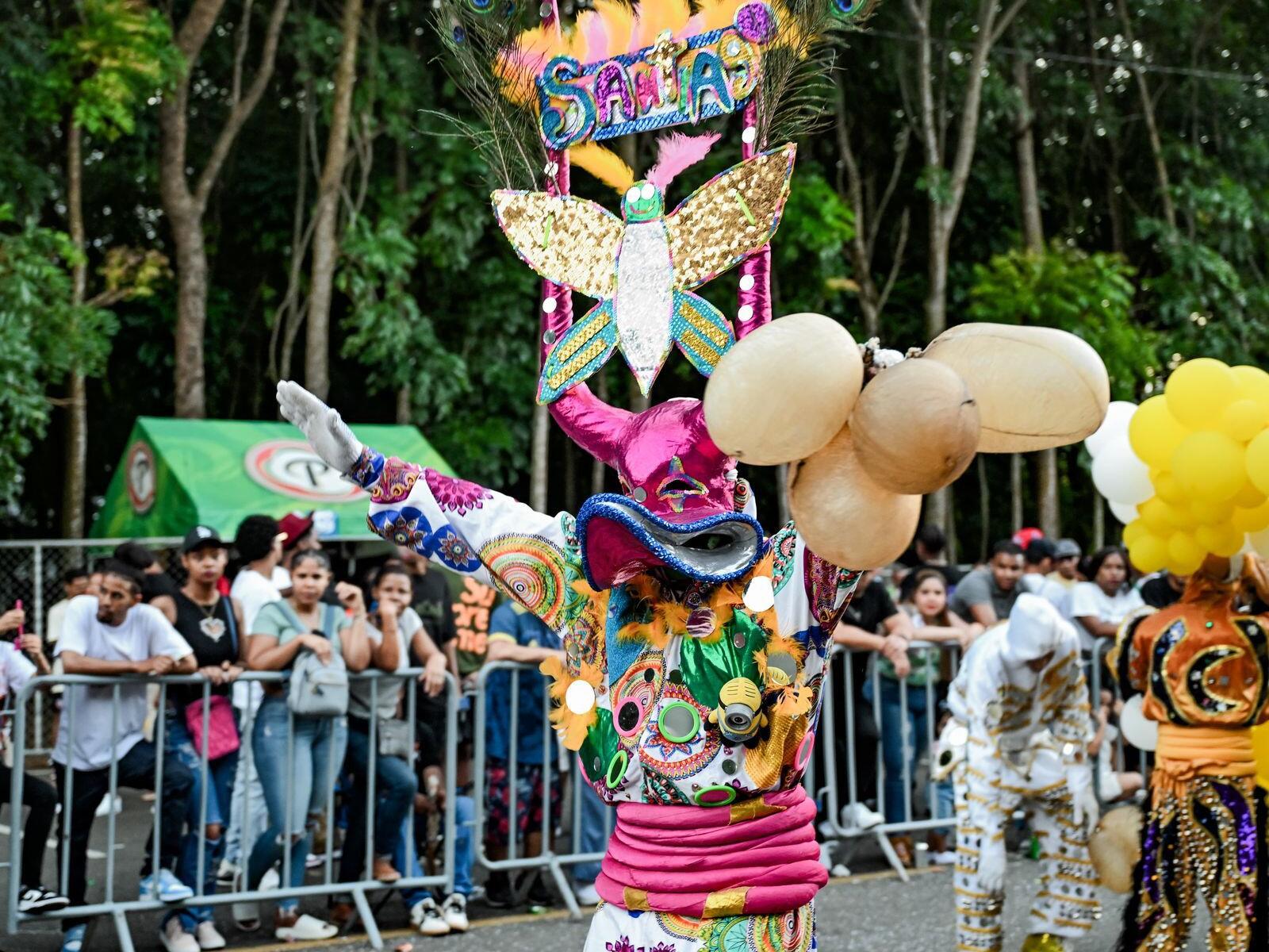 Carnaval de Santiago: Segundo domingo exitoso
