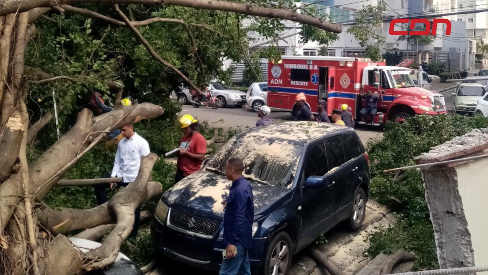árbol cae a vehiculos en Ensache Paraíso