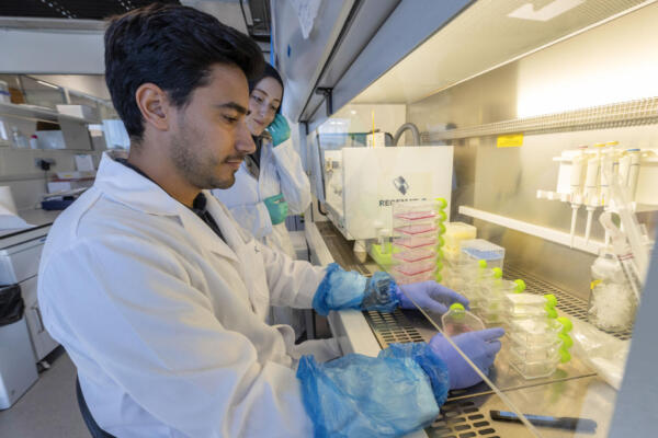 Fotografía en donde se ven investigadores trabajando en un laboratorio. EFE/Marcial Guillén
