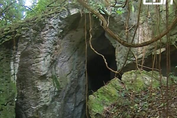 Fotografía de la Cueva del Pomier.