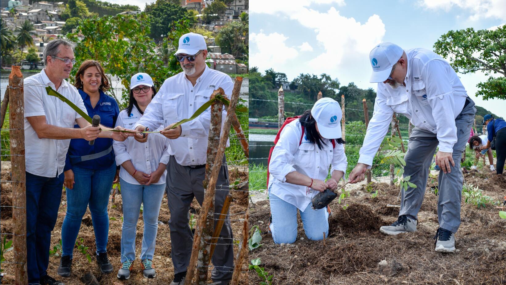Clean Rivers DR lidera jornada de reforestación en el Bosque Miyawaki del río Ozama