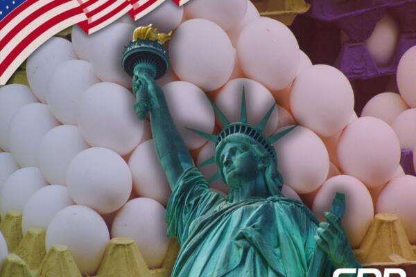 Tras la disparada de precios, en Nueva York los huevos ya se venden por unidad. FOTO: CDN Digital