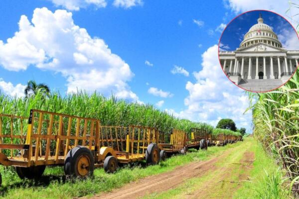 Abinader informó ayer lunes que el Gobierno estadounidense eliminó las restricciones impuestas a la empresa Central Romana Corporation.