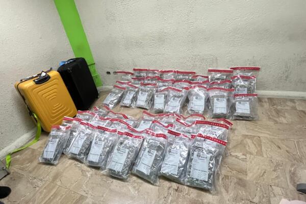 DNCD incauta 90 pacas de marihuana y  en aeropuerto de Punta Cana