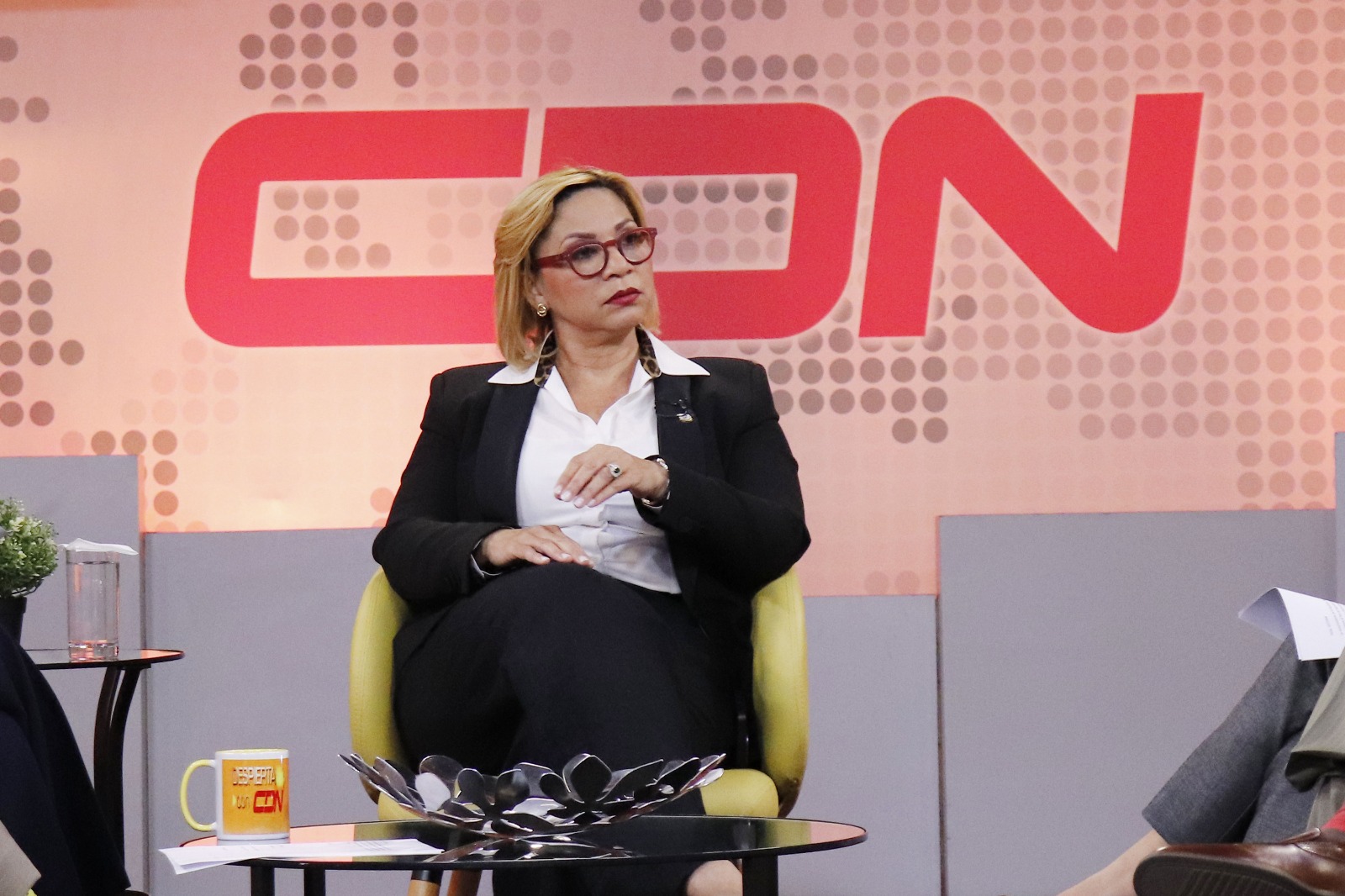 La diputada Soraya Suárez aseguró que Kamala Harris visitó el país para influenciar que se aprobara el Código Penal.