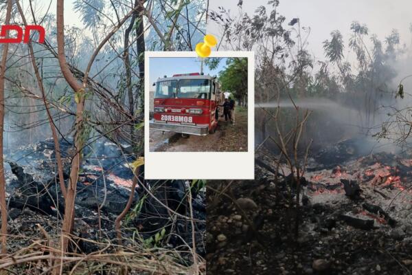 Se requirió la intervención de varias unidades del Cuerpo de Bomberos de Barahona y del municipio de Cabral