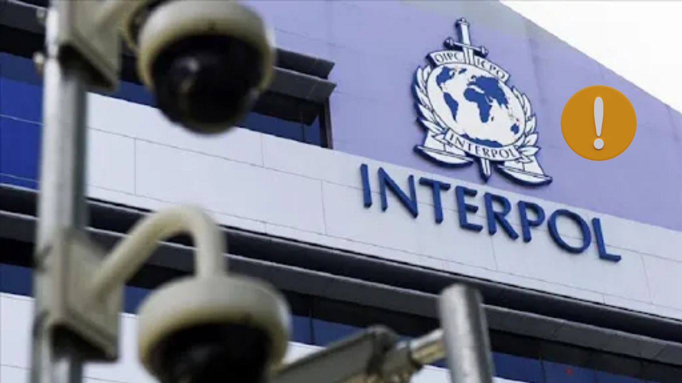 La Interpol define la alerta amarilla como una alerta policial mundial para ayudar a localizar a personas desaparecidas.