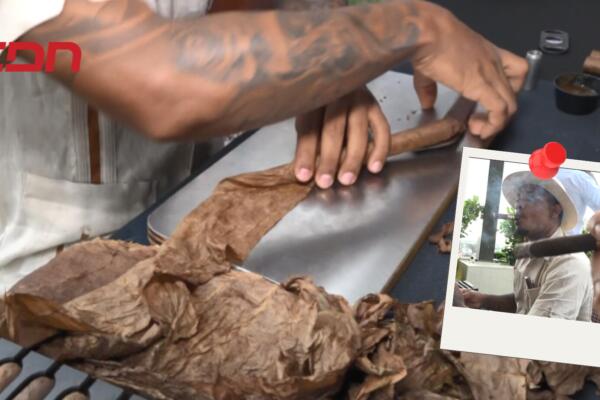 Asociación Dominicana de Cigarros y Tabaco (ADOCITAB)